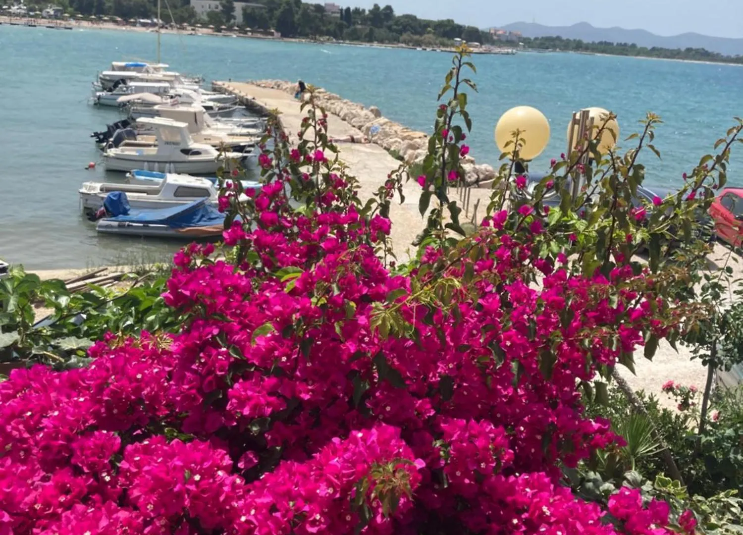 Apartment Desa Zadar Hırvatistan